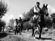 Aferim! - Aferim!